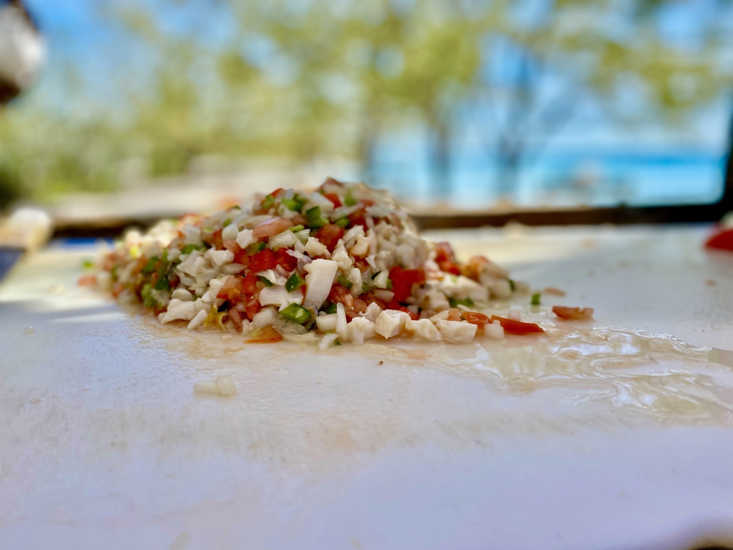 Bahamian Conch Salad