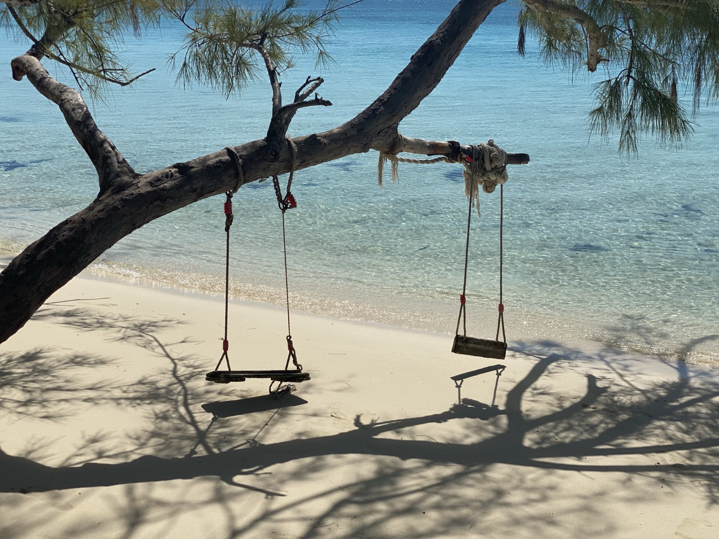 amani house bahamas swingset on beach exuma